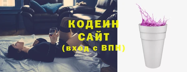 индика Надым