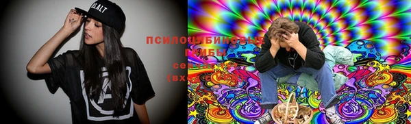 бошки Абдулино